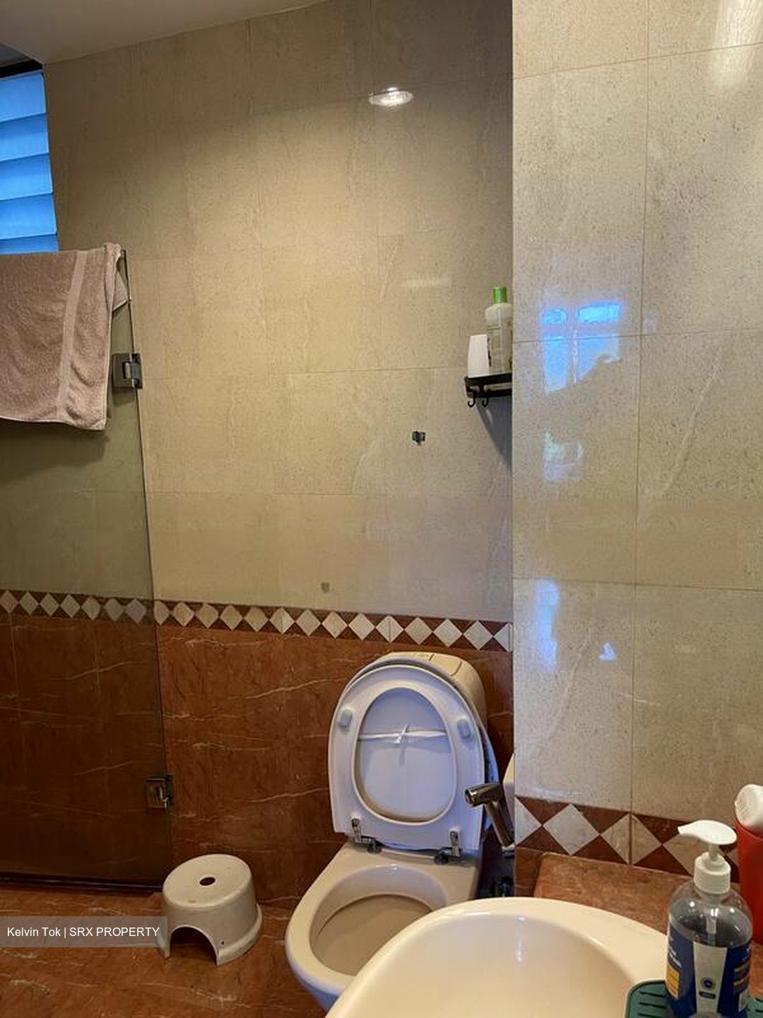 Sanctuary Green (D15), Condominium #479485651